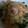 クックYKLSJF☆'s cooksnap of when they made ほうれん草ともやしのサラダ.