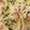 abcdefghｉｊ's cooksnap of when they made ミソマヨ炒め。.