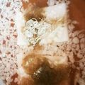 にゃにゃーん☆'s cooksnap of when they made 揚げ出し風餅.
