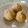 ☆ぽ_ん_こ☆'s cooksnap of when they made 冷凍栗を使ってできる！国産マロンペースト.