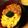 アラスカ人妻's cooksnap of when they made 三色鶏そぼろ丼.