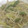 ぷーとんR's cooksnap of when they made もやしときゅうりのナムル.
