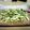 クックG09A9O☆'s cooksnap of when they made バジルペースト.