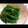 Cookじゃす's cooksnap of when they made お弁当のおかずにピーマンと塩昆布の和え物.