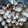家菜の人's cooksnap of when they made 料理人に教わった炒りぎんなん.