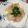 ナピト's cooksnap of when they made 鯛のカルパッチョ.