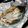 華奏's cooksnap of when they made えぼ鯛のペーパー包み焼き.