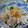 ミルク１８'s cooksnap of when they made とろとろ肉だんごの水炊き.