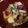 mandryu's cooksnap of when they made 筑前煮のさつまいも入り.