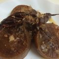 ma710ma2's cooksnap of when they made 圧力鍋でeco料理★大根の煮物.