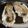 mikiha5's cooksnap of when they made 殻付き生牡蠣を家庭で食べよう！.