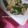 こめろちゃん's cooksnap of when they made ツナときゅうりの中華風サラダ.