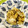 クック3FIQK9☆'s cooksnap of when they made 白菜と金ごまのあっさり漬け.