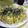 kana0604's cooksnap of when they made Ｗ☆たらこスパゲッティー.