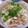 qoouru's cooksnap of when they made ちくわ＊かまぼこ＊大豆のマヨポン和え.