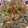 Ray0916as's cooksnap of when they made オクラとトマトのおろしそば.