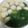 ぷにぷに～☆'s cooksnap of when they made フワフワ♥シンプル鶏つくね鍋.