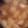 クックE459AH☆'s cooksnap of when they made 蒟蒻の甘辛煮.