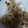 ideko5's cooksnap of when they made すぐできる！もやしのおかか和え.