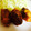 クックUD0U82☆'s cooksnap of when they made ●鶏胸肉のエビマヨ風●.