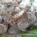 winemania's cooksnap of when they made マヨゴマごぼう!!!!サラダ.