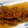 バースオブビーナス's cooksnap of when they made 鮭のムニエル玉ぽんソース.