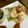 えりこは's cooksnap of when they made 水菜と豆腐のごまドレサラダ.