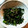 ohihs's cooksnap of when they made ピーマンの葉とうがらし炒め.
