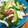 うさぎや炊事堂。's cooksnap of when they made イカゲソときゅうりの塩いため。.