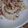 potmilk's cooksnap of when they made ガーリック☆イカ焼き.