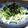 ☆nyan10ka☆'s cooksnap of when they made 山芋と水菜の梅昆布茶和え.