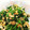 ともっちQQ's cooksnap of when they made 簡単！ほうれん草とちくわのお浸し.