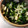 marianon's cooksnap of when they made 大根の葉も皮も無駄なく浅漬け.