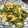 コモドラ's cooksnap of when they made 簡単！ゴーヤと卵の味噌炒め.