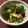 クックNRB95E☆'s cooksnap of when they made ブロッコリーの梅昆布鰹和え～ノンオイル～.