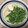 uriuri24's cooksnap of when they made トウミョウのごま和え.