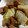 chamachuu's cooksnap of when they made 簡単☆白菜と牛肉の煮物.
