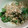 美しい朝's cooksnap of when they made 超簡単お弁当のおかず（万願寺とうがらし）.