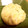 宮川嘉唯's cooksnap of when they made ルクエで簡単栗きんとん.