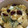 Cocoru62's cooksnap of when they made 爽やか♪ さつまいもとりんごのサラダ.