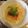 きみみ✧˖'s cooksnap of when they made 鮭のクリームシチューがけ.