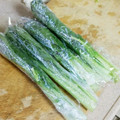 ぴょん吉Cafe's cooksnap of when they made 簡単！小松菜の冷凍保存法！スムージーに◎.