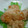 たけぽんのママ's cooksnap of when they made 揚げないエビマヨ～(⌒‐⌒).
