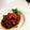 h_tonerico's cooksnap of when they made コック・オー・ヴァン　鶏肉の赤ワイン煮.