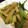みゆるんるん's cooksnap of when they made かぶの葉と大根の炒め物.