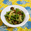◆◇Wtiti＊◇◆'s cooksnap of when they made 豆苗と人参と茸のおひたし.