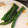 クックZ8J4H4☆'s cooksnap of when they made いんげんのごま和え.