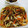 クックMR99O2☆'s cooksnap of when they made ししゃもの南蛮漬け！.