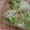 miykitchen's cooksnap of when they made 切って漬けるだけ～♪簡単☆大根の酢漬け☆.
