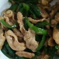 tsuyochan's cooksnap of when they made ピーマンと豚肉の青椒肉絲♪.